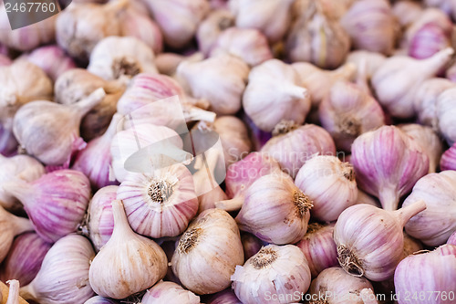 Image of White garlic crop. Background