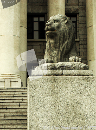 Image of Lion