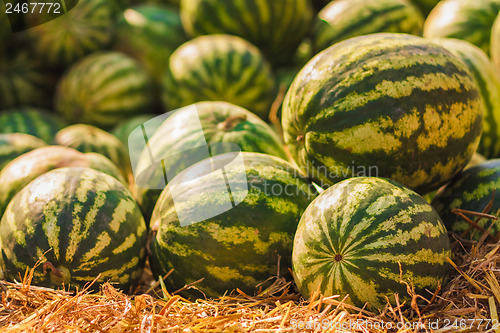 Image of Watermelons were piled up