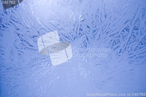 Image of Frosty Window