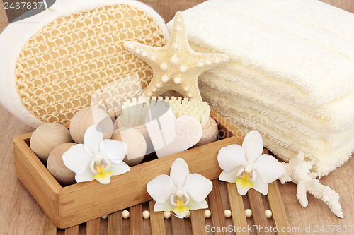 Image of Natural Cleansing Products