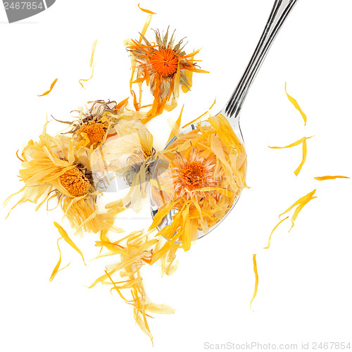 Image of Calendula Flowers