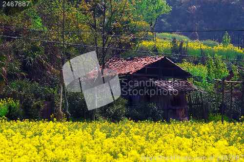 Image of Rural landscape in wuyuan county, jiangxi province, china.