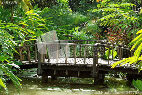 Image of wood bridge 