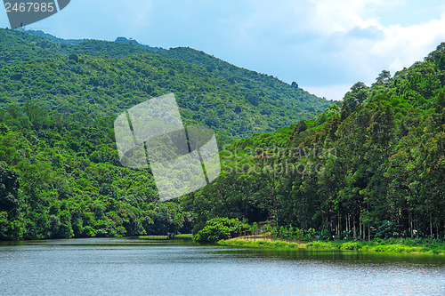 Image of Landscape of trees with reflection on lake under blue sky. 