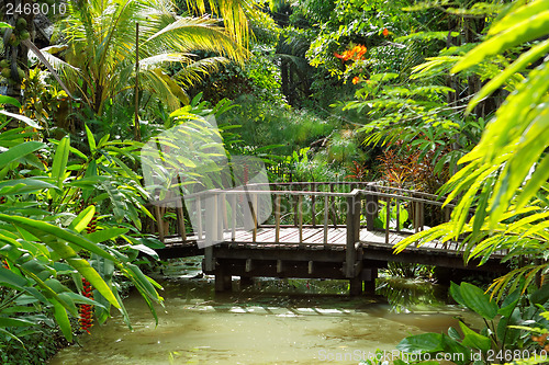 Image of wood bridge 