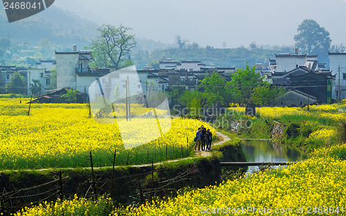 Image of Rural landscape in wuyuan county, jiangxi province, china. 