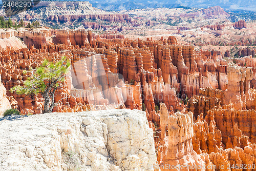 Image of Bryce Canyon