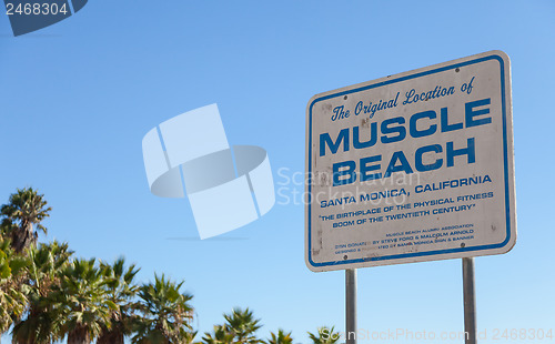 Image of Muscle Beach