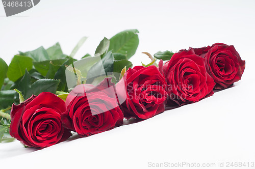 Image of Beautiful red roses arranged in a row