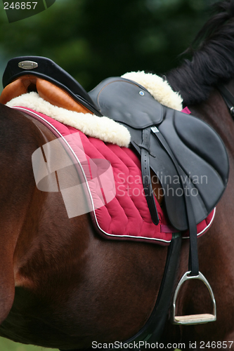 Image of Saddle