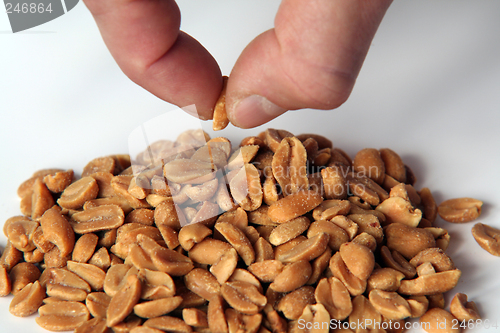 Image of peanuts