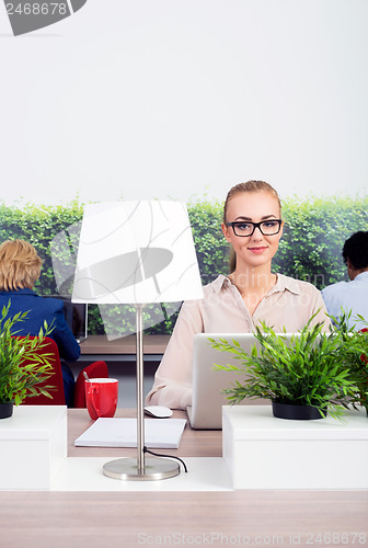 Image of Beautiful Environmentalist In Office