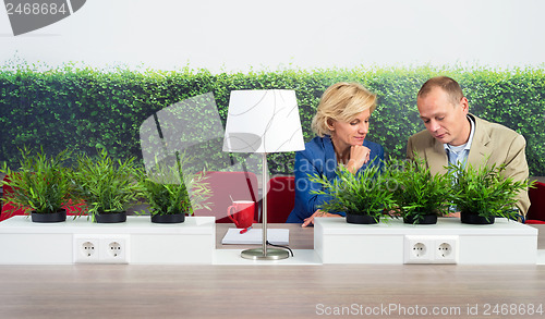 Image of Environmentalists Working At Desk In Office