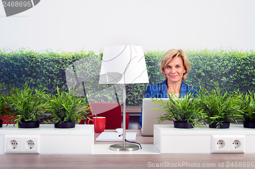 Image of Confident Female Environmentalist In Office