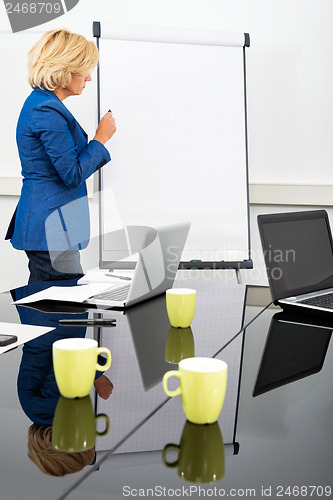 Image of Female Environmentalist at the Flipchart