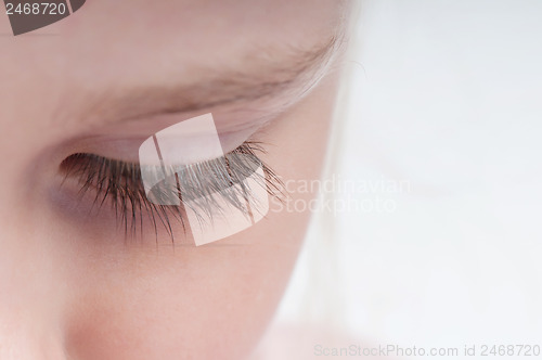 Image of Closeup shot of eyelash