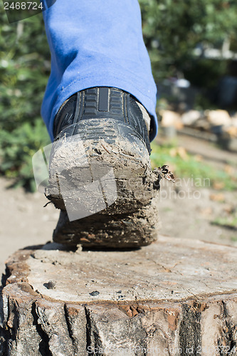 Image of Hiking shoes