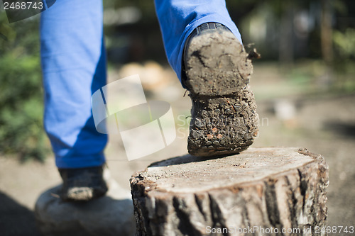 Image of Hiking shoes