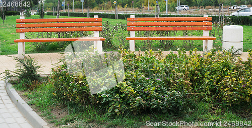 Image of Wooden benches in a park