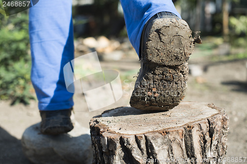 Image of Hiking shoes