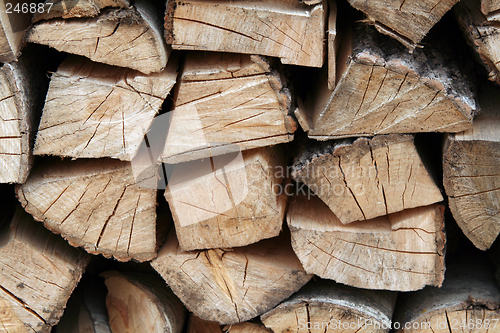 Image of woodpile