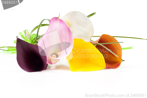 Image of Bouquet of multicolored calla