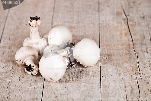 Image of  fresh champignons