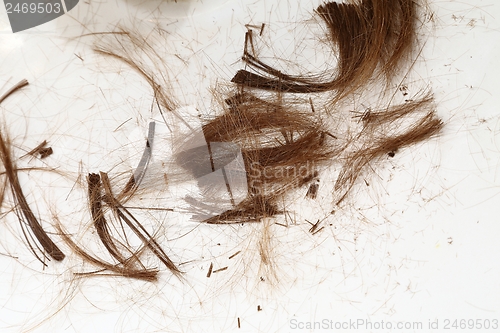 Image of Cut Hair
