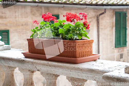 Image of Flower pot on the balcony