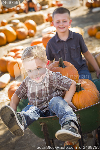 Image of Two Little Boys Playing in Wheelbarrow at the Pumpkin Patch
