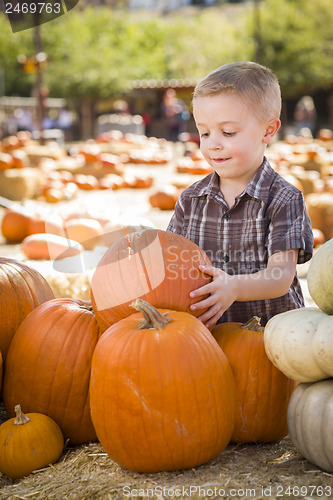 Image of Little Boy Gathering His Pumpkins at a Pumpkin Patch
