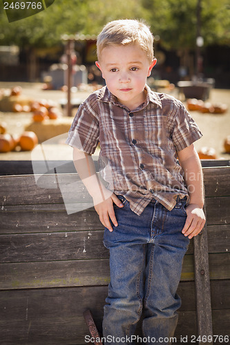 Image of Little Boy With Hands in His Pockets at Pumpkin Patch
