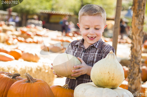 Image of Little Boy Gathering His Pumpkins at a Pumpkin Patch
