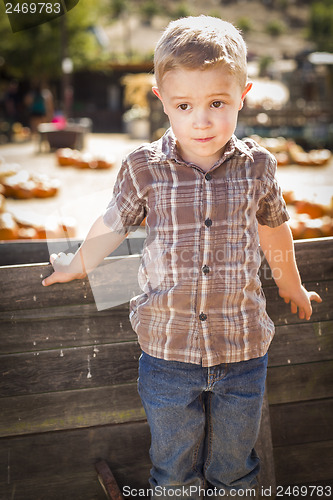 Image of Little Boy Standing Against Old Wood Wagon at Pumpkin Patch
