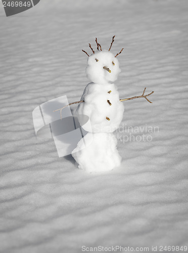 Image of Scary small aggressive snowman in a winter forest