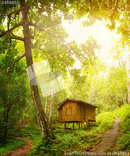 Image of Wooden house in a tropical forest. Day and sunshine