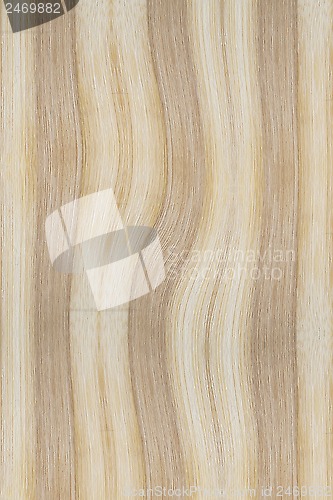 Image of Texture of wood