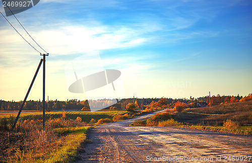 Image of Road in autumn