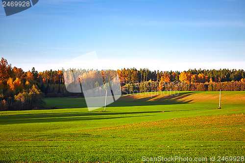 Image of autumn landscape with trees and field