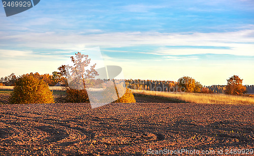 Image of autumn landscape