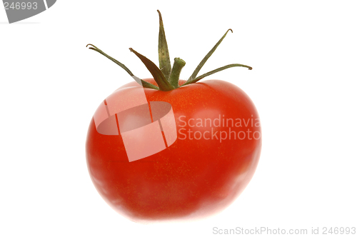 Image of Tomatoes # 03