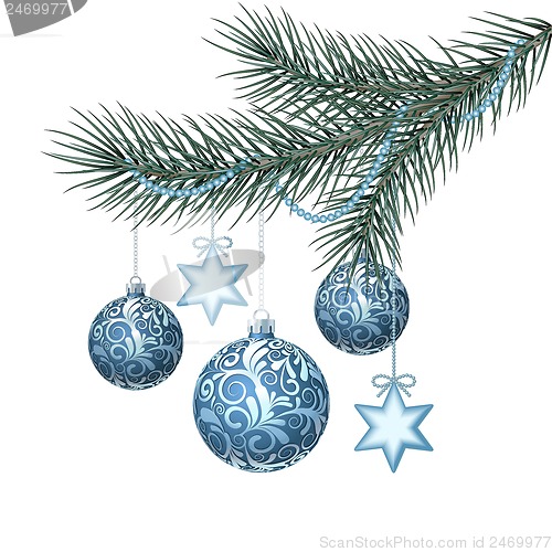 Image of Blue christmas balls on green spruce branch