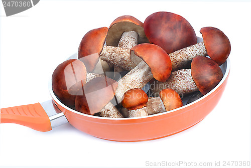 Image of The pan filled with mushrooms intended for cooking.Photographed 