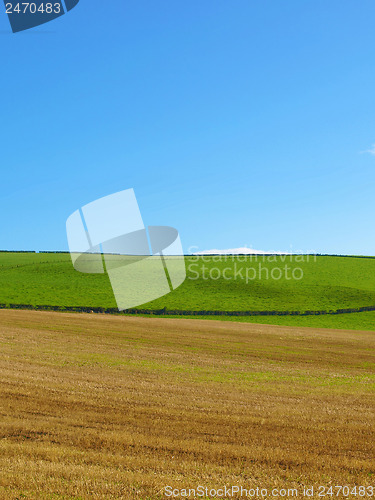 Image of Cardross hill panorama