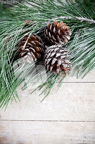 Image of christmas fir tree with pinecones 