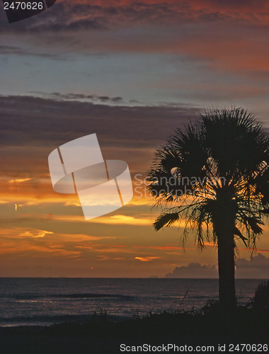 Image of Pacific Ocean sunset