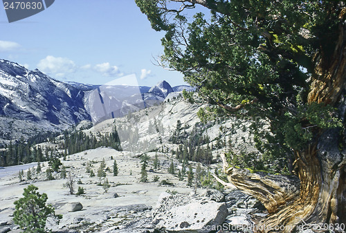 Image of Yosemite National Park