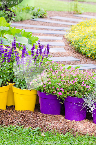 Image of Large plant pots with flowers in the garden, close-up  
