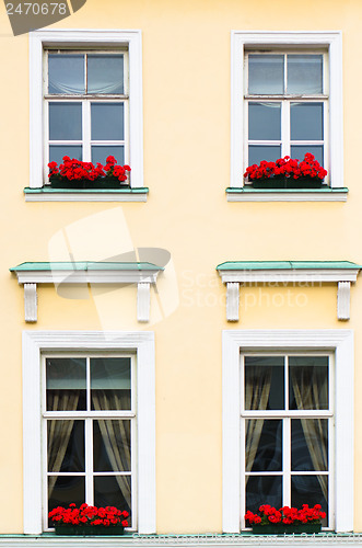 Image of Four Windows with red flowers, close-up